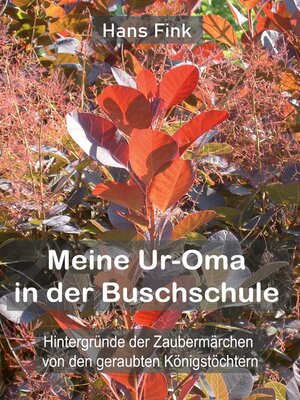 cover image of Meine Ur-Oma in der Buschschule